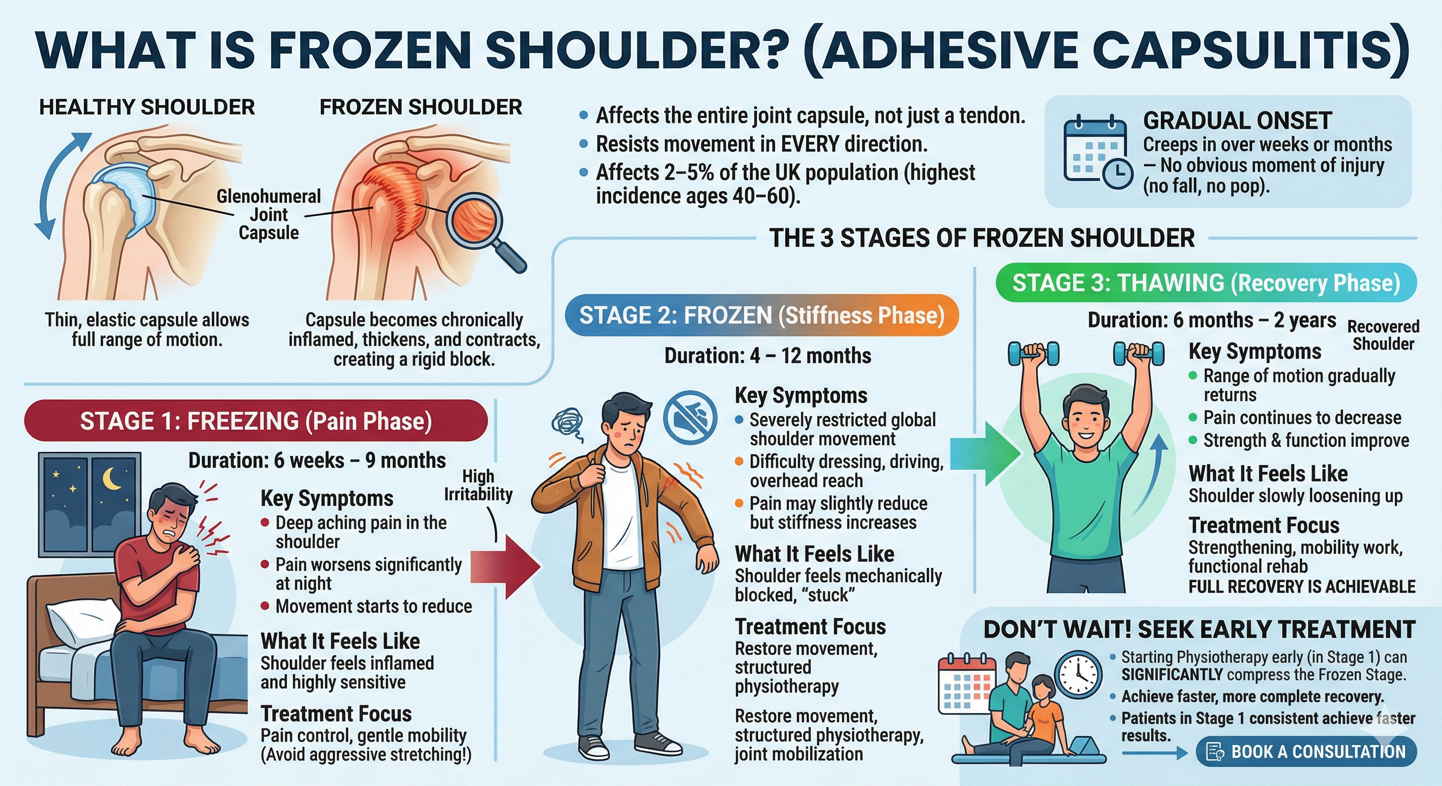 Frozen shoulder (adhesive capsulitis) infographic showing comparison between healthy and stiff shoulder joint capsule, with three stages—freezing (pain phase), frozen (stiffness phase), and thawing (recovery phase)—including symptoms, duration, and treatment focus.